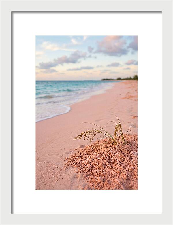 Pink Sand Serenity