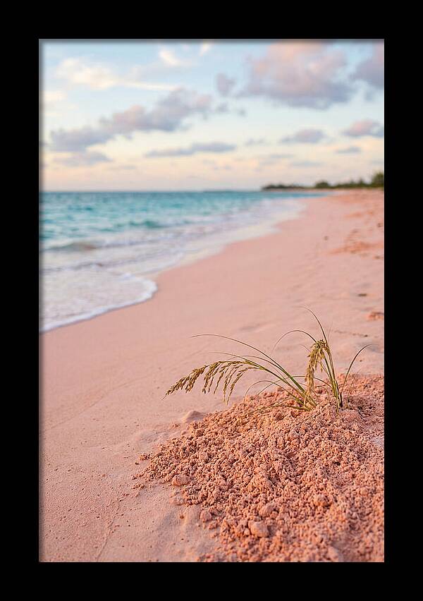 Pink Sand Serenity