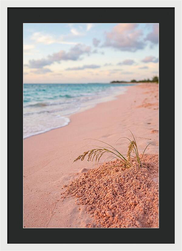 Pink Sand Serenity
