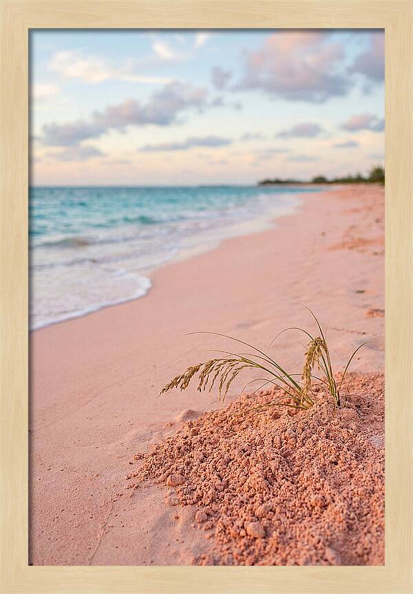 Pink Sand Serenity