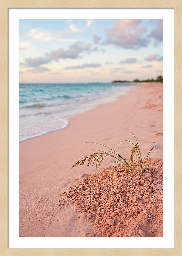 Pink Sand Serenity
