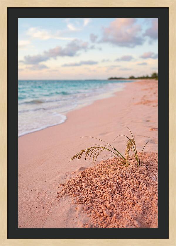 Pink Sand Serenity
