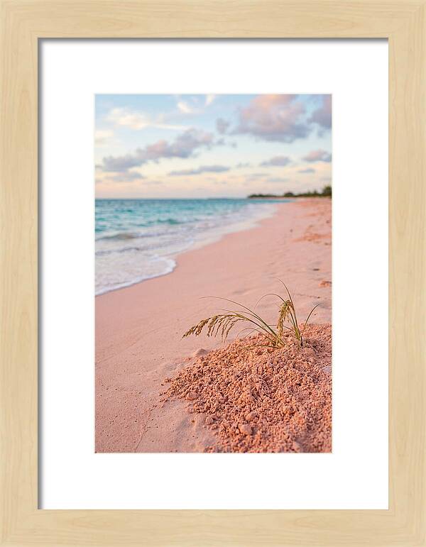 Pink Sand Serenity