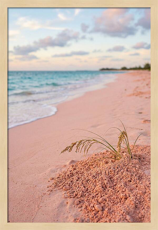 Pink Sand Serenity