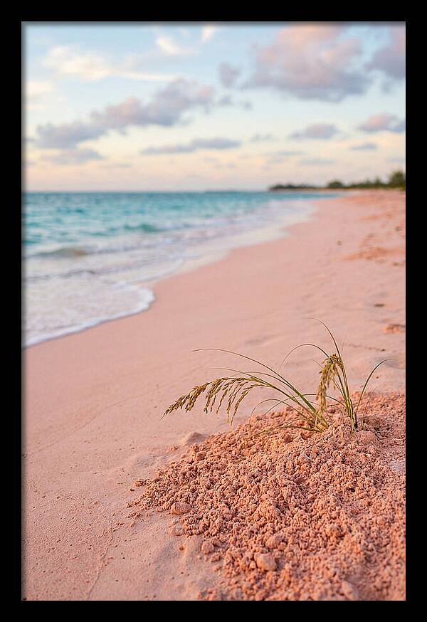 Pink Sand Serenity