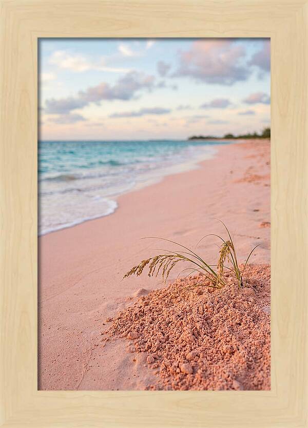 Pink Sand Serenity