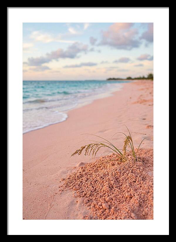Pink Sand Serenity