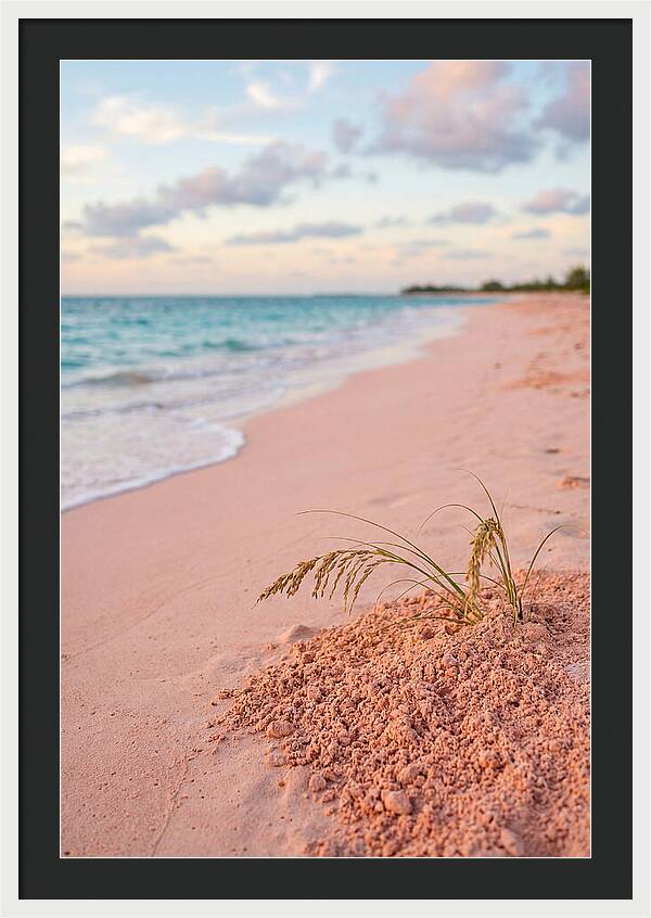 Pink Sand Serenity