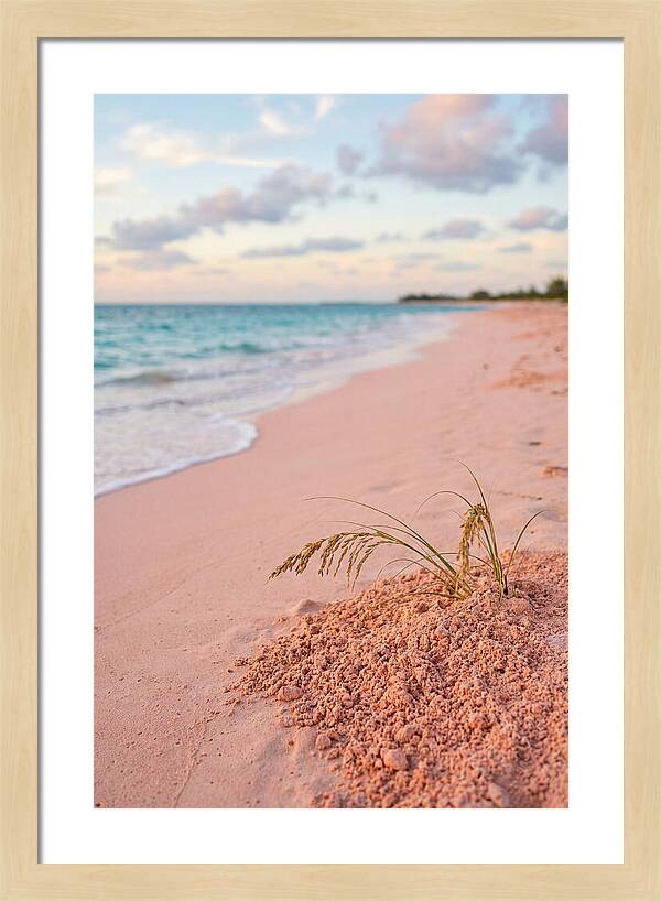 Pink Sand Serenity