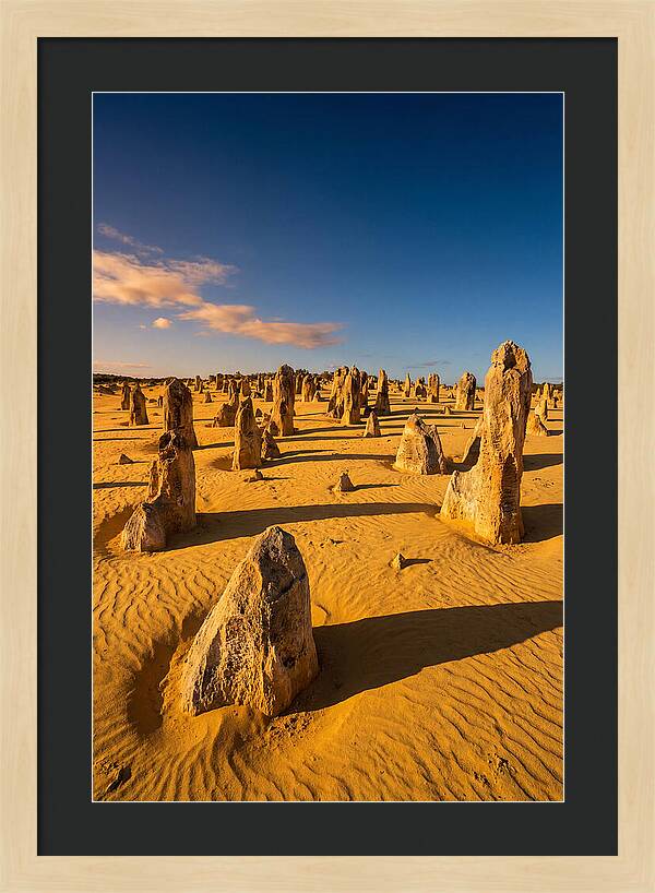Pinnacles Desert At Golden Hour