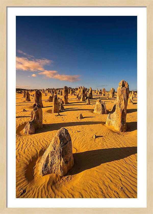 Pinnacles Desert At Golden Hour