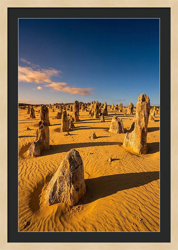 Pinnacles Desert At Golden Hour
