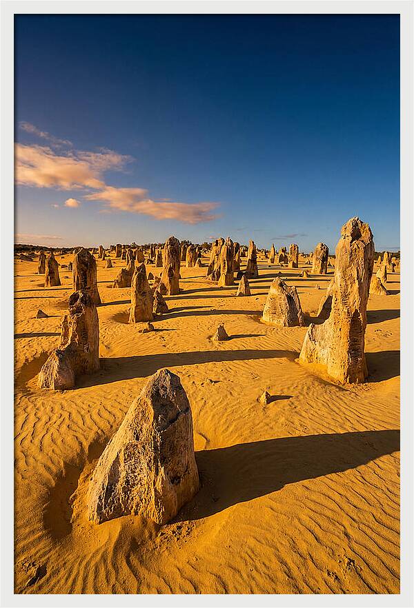 Pinnacles Desert At Golden Hour