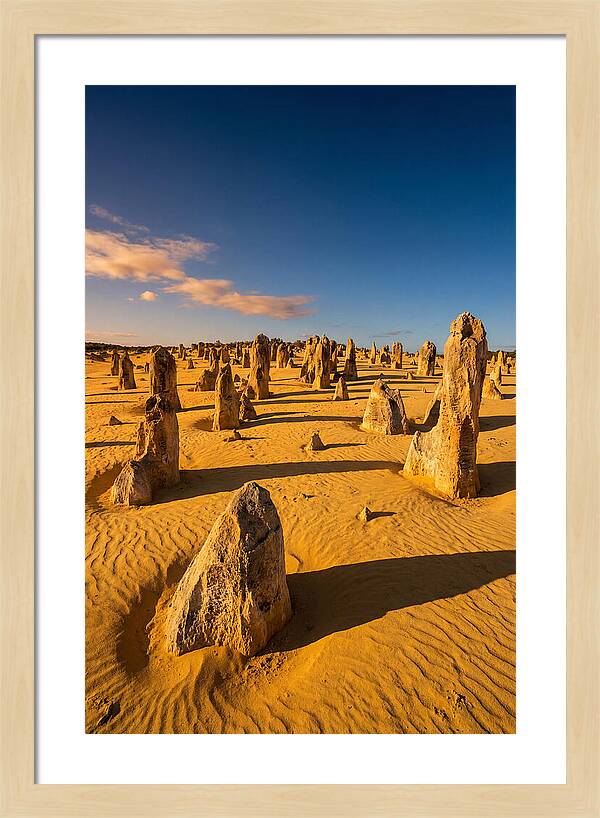 Pinnacles Desert At Golden Hour