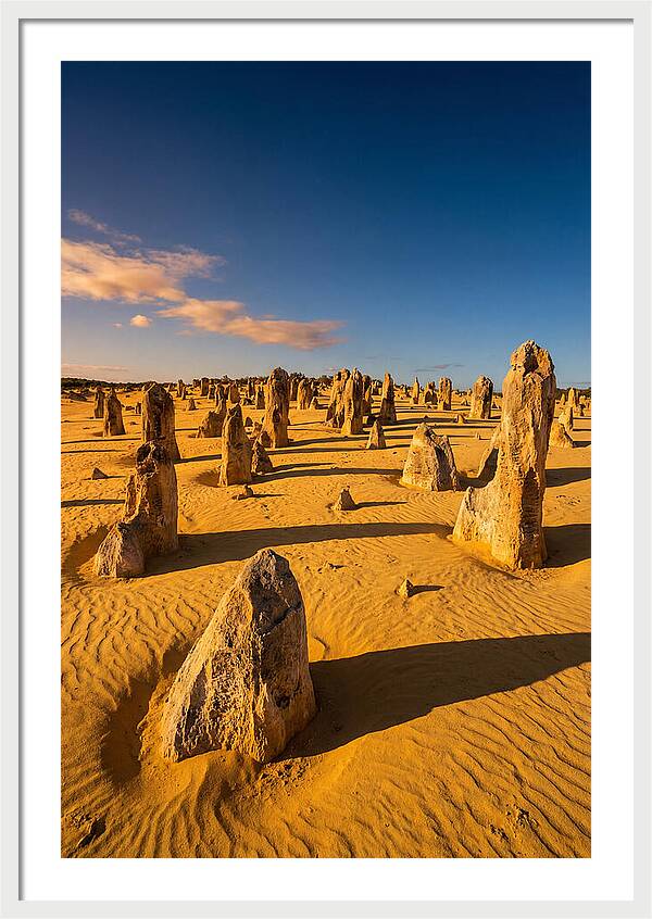 Pinnacles Desert At Golden Hour