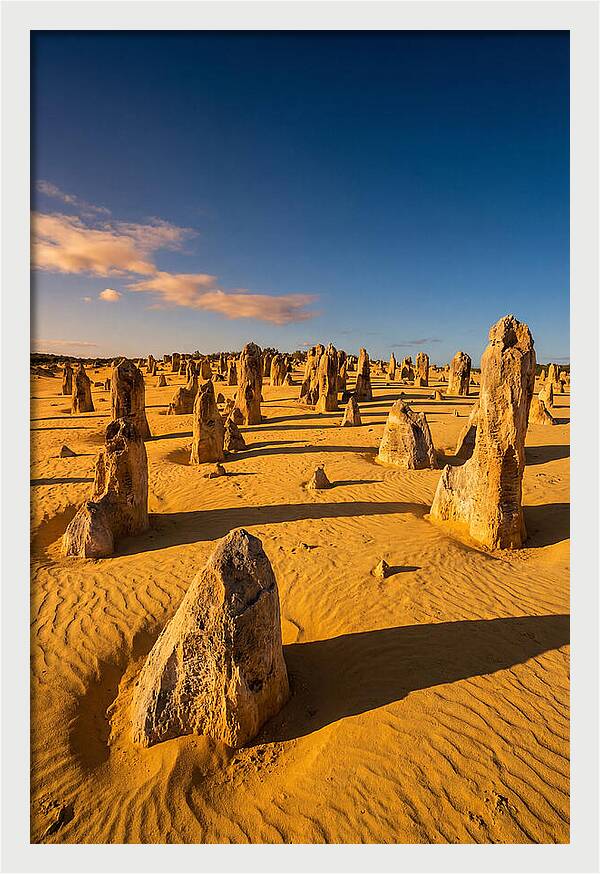 Pinnacles Desert At Golden Hour