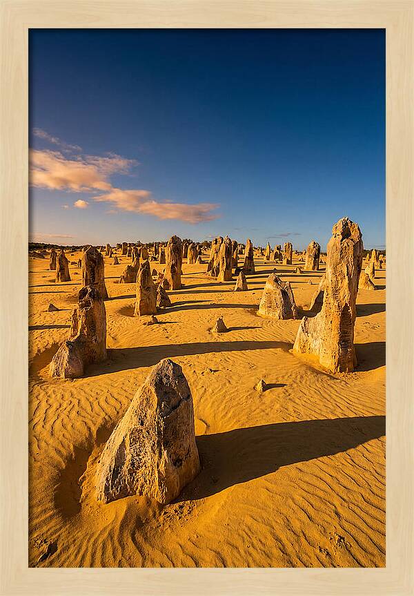 Pinnacles Desert At Golden Hour