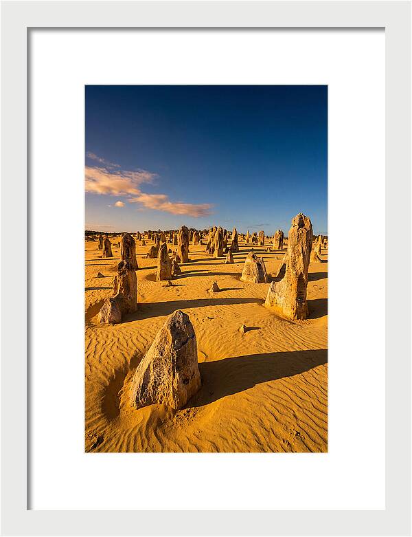 Pinnacles Desert At Golden Hour