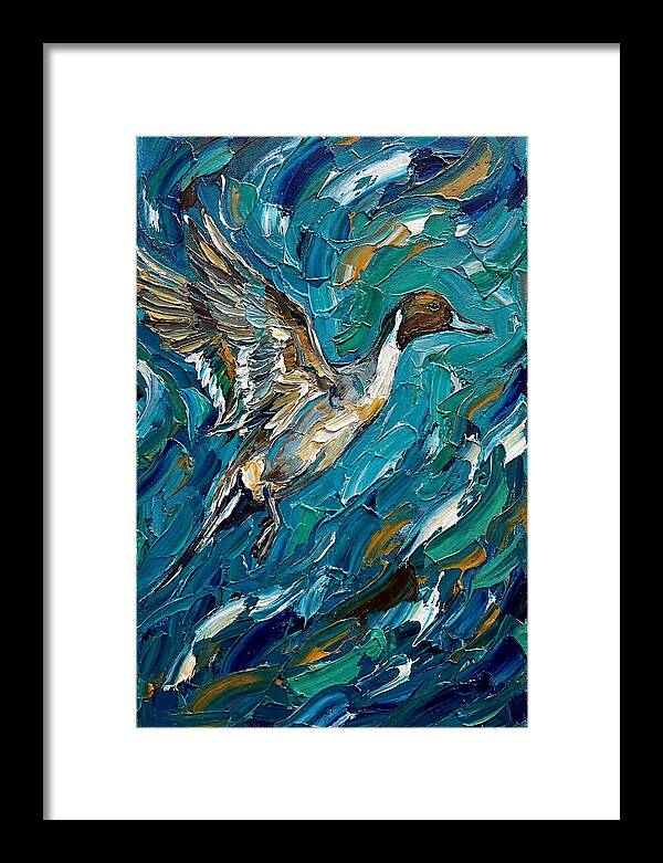Pintail Duck In Flight