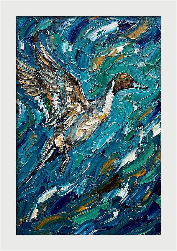 Pintail Duck In Flight