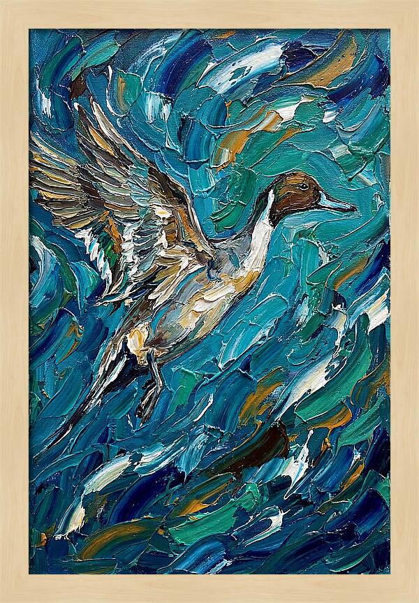 Pintail Duck In Flight