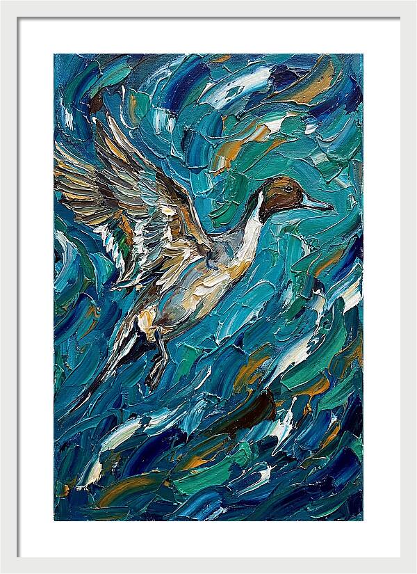 Pintail Duck In Flight