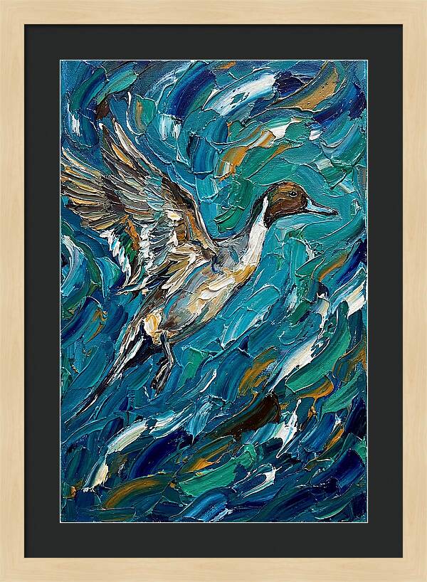 Pintail Duck In Flight