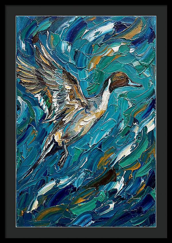 Pintail Duck In Flight