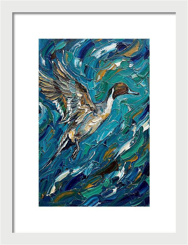 Pintail Duck In Flight
