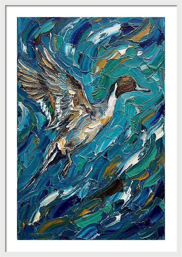 Pintail Duck In Flight