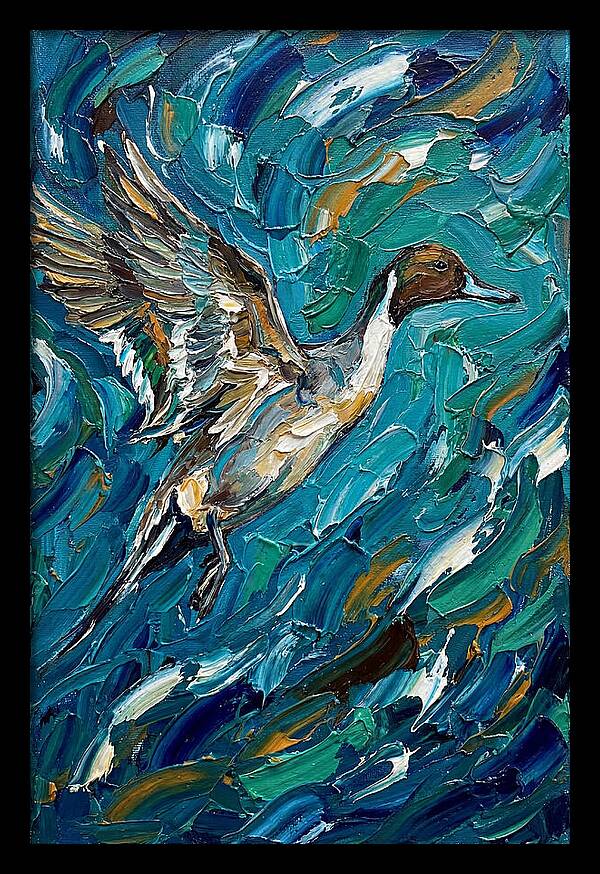 Pintail Duck In Flight