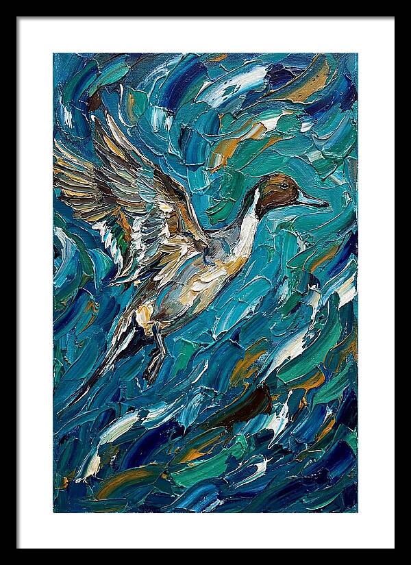 Pintail Duck In Flight