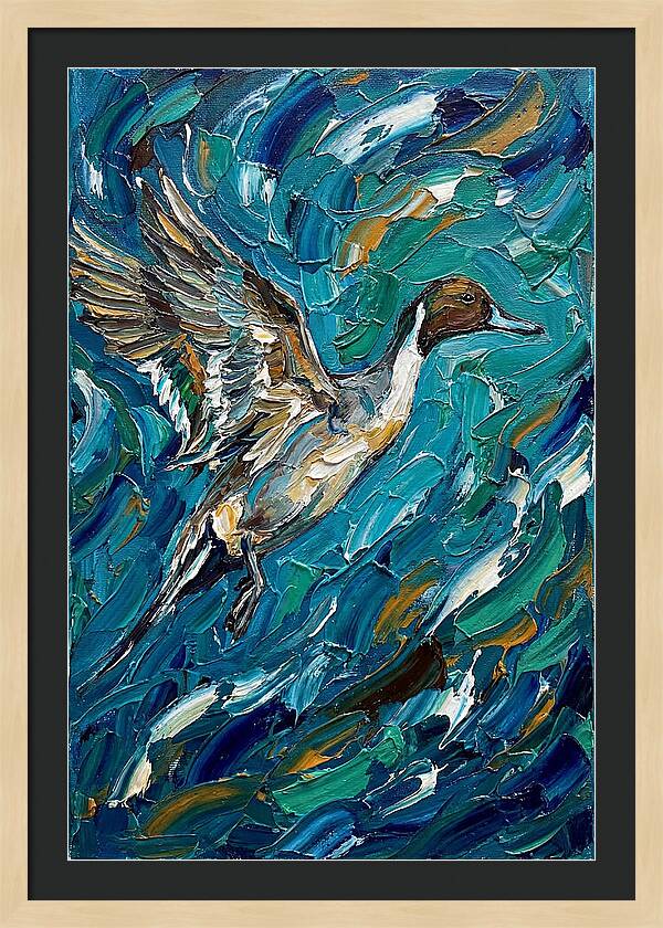 Pintail Duck In Flight