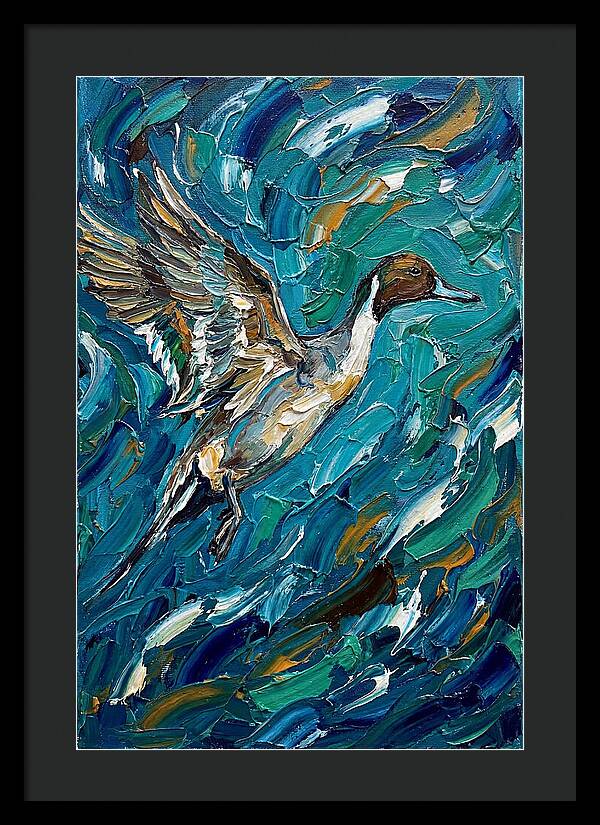 Pintail Duck In Flight