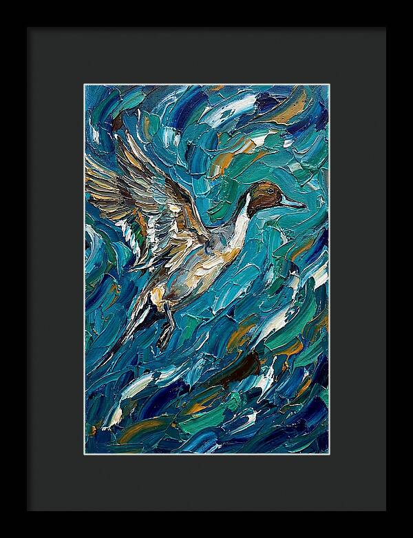 Pintail Duck In Flight