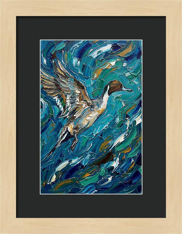 Pintail Duck In Flight