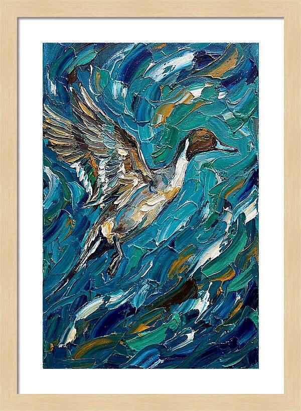 Pintail Duck In Flight