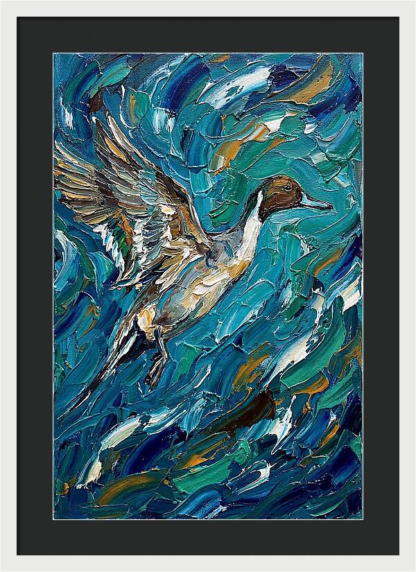 Pintail Duck In Flight