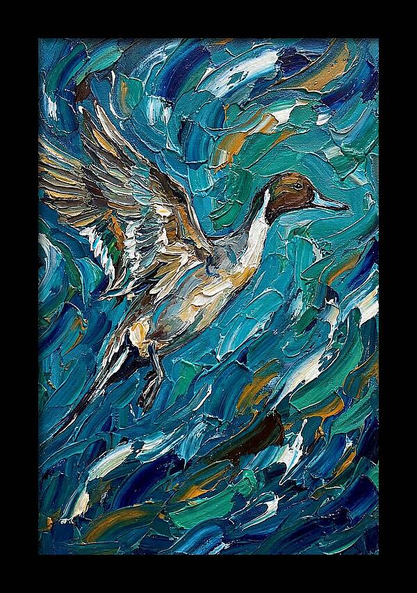 Pintail Duck In Flight
