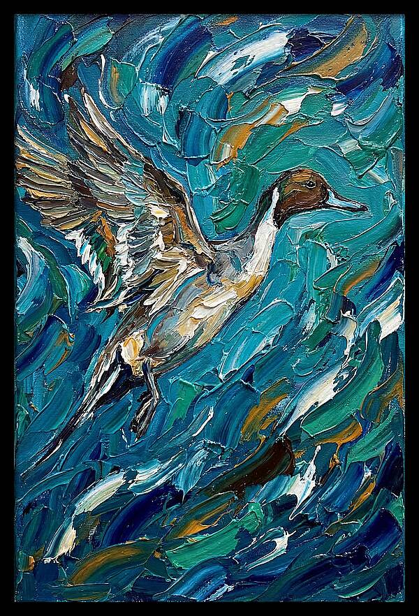 Pintail Duck In Flight