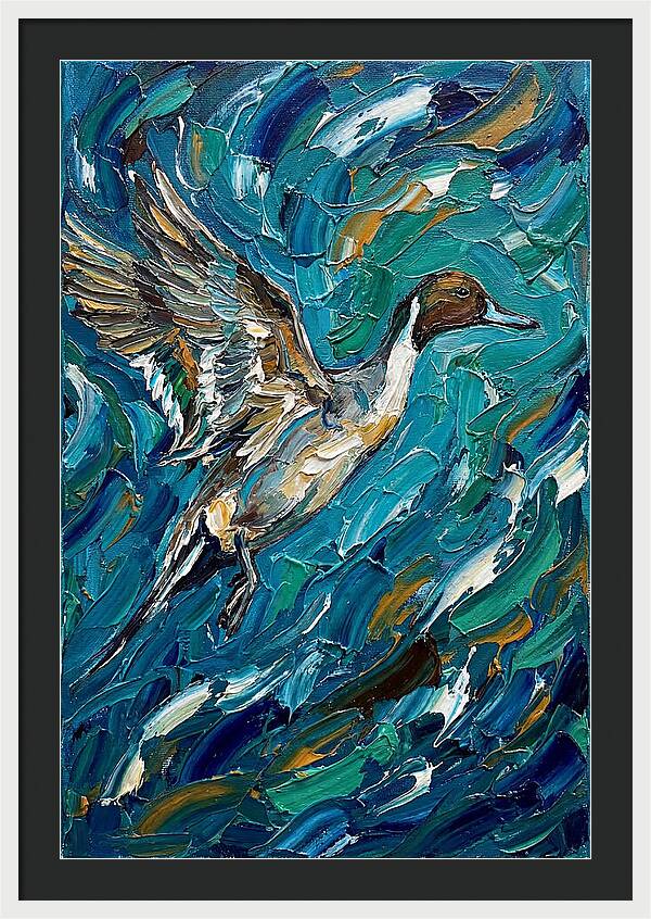 Pintail Duck In Flight
