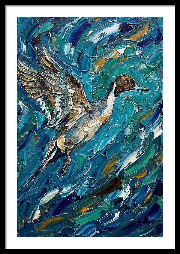 Pintail Duck In Flight