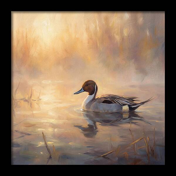 Pintail Duck In Light