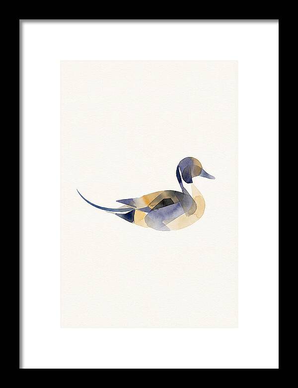 Pintail Duck Minimalism