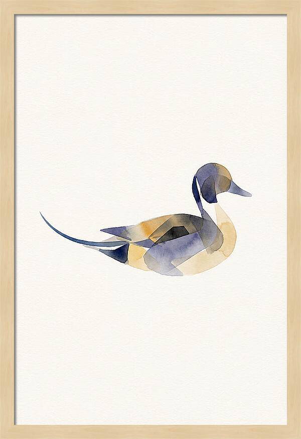 Pintail Duck Minimalism