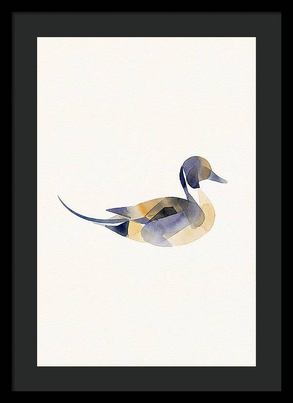 Pintail Duck Minimalism
