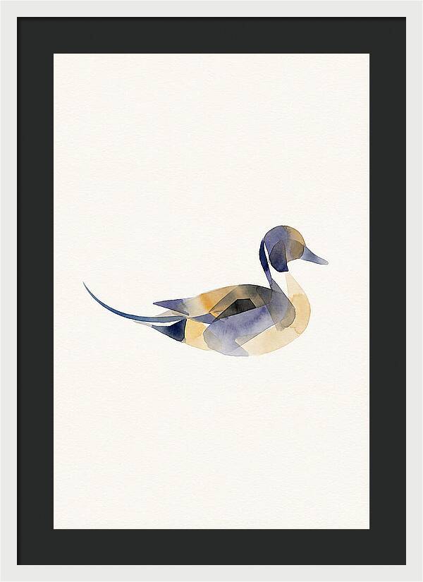 Pintail Duck Minimalism
