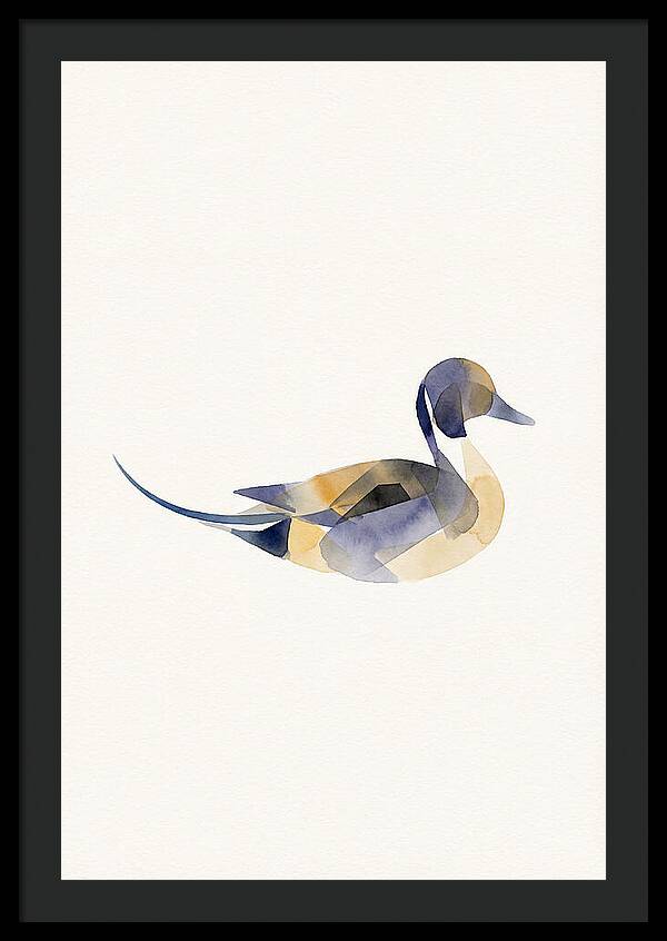 Pintail Duck Minimalism