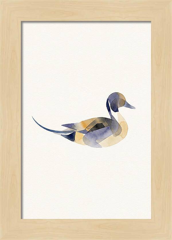 Pintail Duck Minimalism