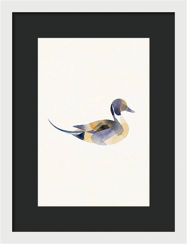 Pintail Duck Minimalism